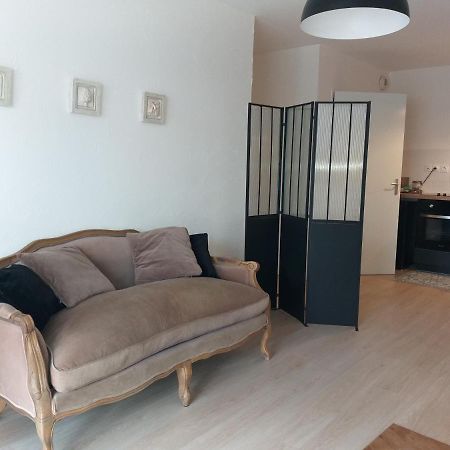 Le Savoie Appartement 2 Chambres 3 Couchages ,Balcon Et Parking Prive Bellegarde-sur-Valserine Bagian luar foto